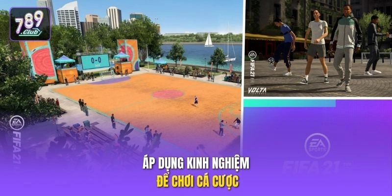 Áp dụng kinh nghiệm để chơi cá cược