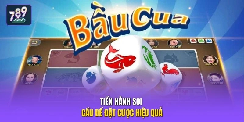 Tiến hành soi cầu để đặt cược hiệu quả